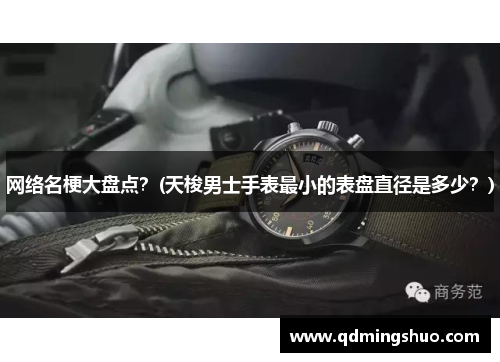 网络名梗大盘点?(天梭男士手表最小的表盘直径是多少?)